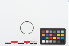 Foto von Bronzering (NHMW-PRAE-024621)